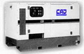 A small 100kVA Set in a forkable container.